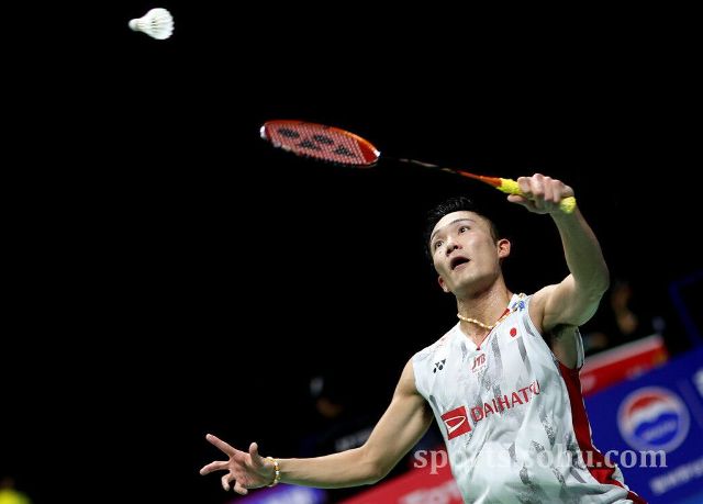 排被认为是 排被认为是