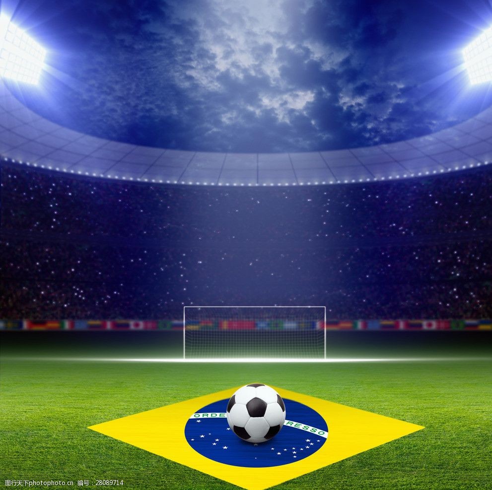 近景细节 近景细节